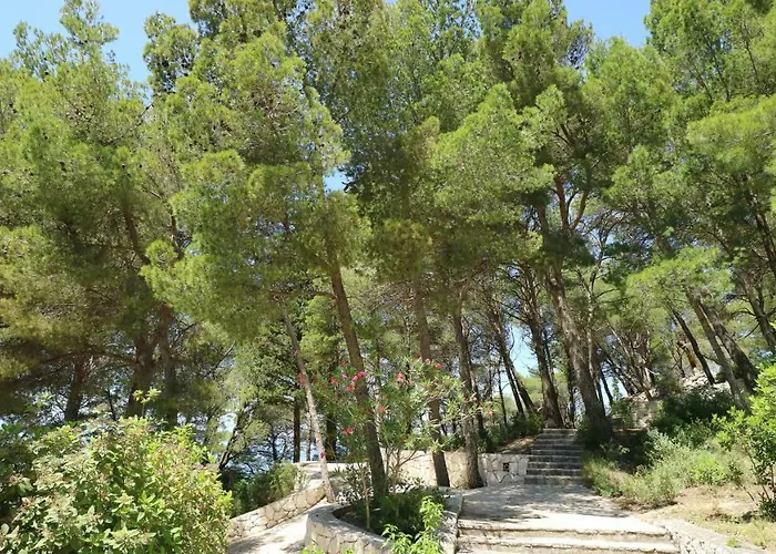 Ena - Lavica