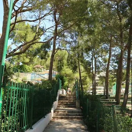 Ena - Lavica