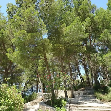 Ena - Lavica